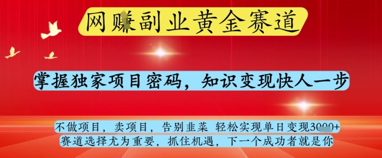 网创副业黄全赛道，掌握独家项目密码，知识变现快人一步，告别韭菜轻松实现单日变现1k+【揭秘】-闪越社