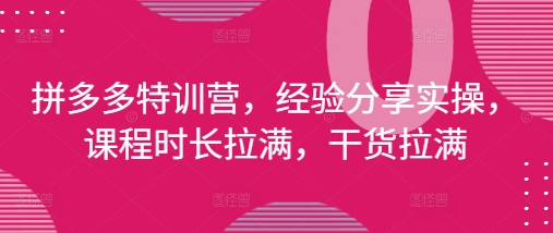拼多多特训营，经验分享实操，课程时长拉满，干货拉满(更新25年4月)-闪越社