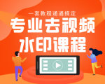 专业去视频水印教程 静态水印、动态水印、文字水印、图片水印一套教程通通搞定-闪越社