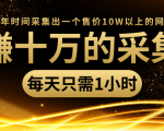 年赚十万的采集站,每天却只需要1小时,一年时间采集出一个售价10W以上的网站-闪越社