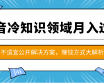 抖音冷知识领域月入过万项目,不适宜公开解决方案 ,抖音赚钱方式大解析!-闪越社