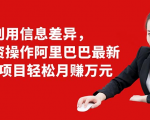 利用信息差异,零投资操作阿里巴巴最新管道项目轻松月赚10000+-闪越社