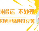 抖音纯搬运 不处理 小技巧,30秒发一个作品,避免违规评级秒过豆荚-闪越社
