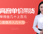 抖音高单价带货项目，一单佣金几十上百元，核心套路月入几十万（共3节）-闪越社