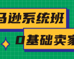 亚马逊系统班,专为0基础卖家量身打造,亚马逊运营流程与架构-闪越社