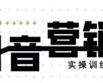 《12天线上抖音营销实操训练营》通过框架布局实现自动化引流变现-闪越社