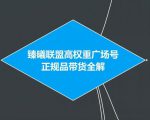 臻曦联盟抖音高权重广场号无人直播正规品带货全解-闪越社