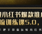 小红书爆款推广引流训练课5.0,手把手带你玩转小红书(17节实操视频+话术)-闪越社