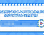 视频号新机制与不刷赞撸养生茶玩法,轻松日赚1000+-闪越社