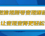 微信视频号变现项目,0粉丝冷启动项目和十三种变现方式-闪越社