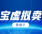 黑帽子淘宝虚拟卖货项目，单店每月收入5000+-闪越社