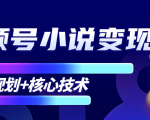 柚子微信视频号小说变现项目，全新玩法零基础也能月入10000+【核心技术】-闪越社