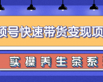 柚子视频号带货实操变现项目，零基础操作养身茶月入10000+-闪越社