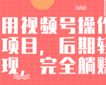 视频号操作书单变现项目，后期轻松变现，完全躺赚日入300至500元-闪越社