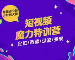 零基础小白进阶到大神《短视频魔力特训营》定位-运营-引流-变现-闪越社