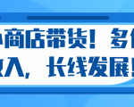 微信小商店带货，爆单多倍收入，长期复利循环！日赚300-800元不等-闪越社