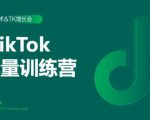 2020最新TikTok流量增长训练营（完结）附PPT-闪越社