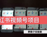 野路子小红书视频号1.0项目,直接上手操作就能赚钱的视频号项目-闪越社