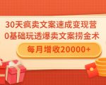 30天疯卖文案速成变现营，0基础玩透爆卖文案捞金术！每月增收20000+-闪越社