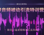 黄岛主·FM音频引流特训营2.0:独家引流模式,单账号50W+播放量,轻松变现-闪越社