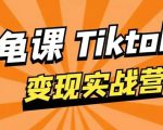 龟课·TikTok变现实战训练营线上第1期,多种变现模式,轻松赚美刀-闪越社