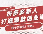 拼多多新人打造爆款创业课:快速引流持续出单,适用于所有新人-闪越社