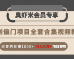 暴利偏门项目全套合集视频教程:你要的日赚1000+月入几万+项目都有-闪越社