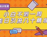 清和行记引流训练营：小白不到一周便能日引流几十精准粉-闪越社