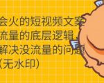 只说话就会火的短视频文案课，从根本上解决没流量的问题-闪越社