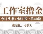 工作室撸金二件套:撸今日头条原创收益+小红书一单利润40块项目-闪越社