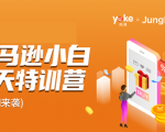 雨课·亚马逊小白特训营第9期 跨境电商挺赚钱的 有朋友已经月入几十万美金-闪越社
