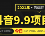 抖音9.9课程项目,没粉丝也能卖课,一天300+粉易变现-闪越社