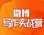 村西边老王·微博超级写作实战营,帮助你粉丝猛涨价值999元-闪越社