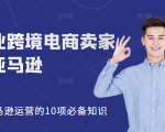 职业跨境电商卖家聊亚马逊:亚马逊运营的10项必备知识,12堂课让你看懂亚马逊运营-闪越社