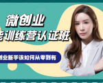 微创业全能训练营认证班课程,从理论知识与实际案例手把手指导创业新手如何从零到有-闪越社