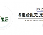 龟课·淘宝虚拟无货源电商5期,全程直播 现场实操,一步步教你轻松实现躺赚-闪越社