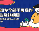 20多个新手可操作的副业赚钱项目:业余时间0基础日入几500+实操分享-闪越社
