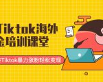 最新Tiktok海外掘金培训课堂:带你玩转Tiktok暴力涨粉轻松变现-闪越社