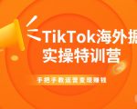TikTok海外掘金实操特训营:手把手教运营变现赚钱-闪越社