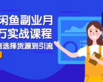 2021闲鱼副业月入过万实战课程:从开店到选择货源到引流,全程实战教学-闪越社