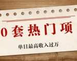 30套热门项目:单日最高收入过万 (网赚项目、朋友圈、涨粉套路、抖音、快手)等-闪越社