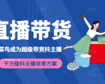 3天从菜鸟成为超级带货抖主播,千万级抖主播培育方案(价值980元)-闪越社
