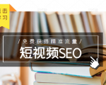 未来新趋势,布局短视频SEO,如何利用抖音SEO免费获得精准流量(3节课)-闪越社