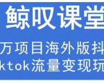 鲸叹号·海外TIKTOK训练营,百万项目海外版抖音tiktok流量变现玩法-闪越社