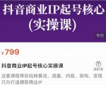 抖音商业IP起号核心实操课,带你玩转算法,流量,内容,架构,变现-闪越社