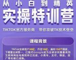 Seven漆·2022Tiktok从小白到精英实操特训营,带你掌握Tiktok账号运营-闪越社