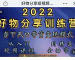 萌飞好物·2022抖音好物分享训练营，当下风口带货变现模式，从入门到精通-闪越社