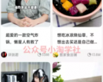 京东视频带货项目分享,发视频就能操作赚钱-闪越社