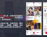 麦子互娱短视频带货·0基础做好物分享账号，无需出镜无需货源无需拍摄-闪越社