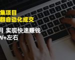 虚拟图集项目：矩阵站群自动化成交，3-5个月实现快速赚钱月入1W+左右-闪越社